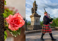 Scottish Rose - Bag Piper, Stirling Castle © 2018 Keith Trumbo