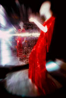 Hollywood costume: Glamour, glitter, romance, The Met, NYC © 1976 Keith Trumbo