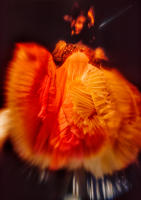 Hollywood costume: Glamour, glitter, romance, The Met, NYC © 1976 Keith Trumbo