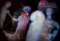 Hollywood costume: Glamour, glitter, romance, The Met, NYC © 1976 Keith Trumbo