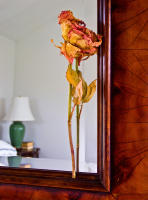 Rose on a wood framed mirror, Bridgehampton © 2019 Keith Trumbo