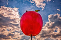 Apple of my Eye, Île d'Orléans, Quebec © 2019 Keith Trumbo