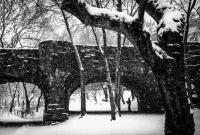 Bagpiper, Central Park, NYC © 2019 Keith Trumbo