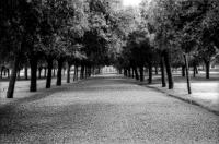 Villa Borghese, Rome © 2021 Keith Trumbo