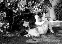Book reader, Provence, France © 2019 Keith Trumbo