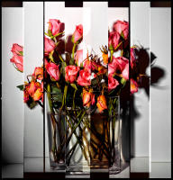 Roses #2, 16 Days, 9 unique exposures on one Film frame (not photoshop) © 2017 Keith Trumbo
