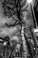 In memory, Marsham Street, London © 2020 Keith Trumbo
