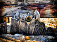 Driftwood, NY © 2023 Keith Trumbo