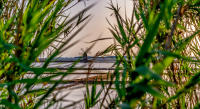 The Salt Flats of Trapani © 2023 Keith Trumbo