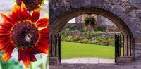 Gardens, Stirling Castle © 2018 Keith Trumbo