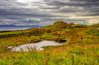 Cows paradise, Isle of Skye © 2018 Keith Trumbo