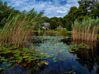 Village pond, Quogue © 2023 Keith Trumbo
