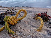 Beach detritus, Bridgehampton © 2023 Keith Trumbo
