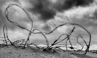 Calder at the beach, Bridgehampton © 2022 Keith Trumbo