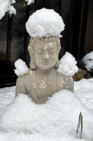 Buddha of West 82 street, NYC © 2024 Keith Trumbo