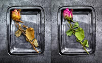Age before beauty, NYC © 2024 Keith Trumbo