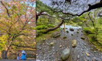 Children, Kurashiki - The garden of Heian-jingu Shrine, Kyoto © 2024 Keith Trumbo