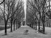 Jardin du Palais Royal, Paris © 2023 Keith Trumbo