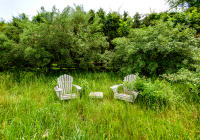 Life is short, the grass long, Southampton, NY © 2011 Keith Trumbo