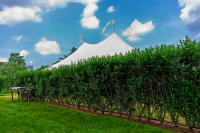 The tent awaits, Southampton © 2011 Keith Trumbo