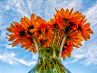 Flowers in a glass vase, Bridgehampton © 2006 Keith Trumbo