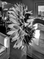 Flower head, Bridgehampton © 2006 Keith Trumbo
