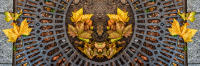 Autumn, NYC © 2013 Keith Trumbo