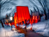 The Gates, Central Park, NYC © 2017 Keith Trumbo
