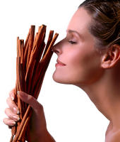 The smell of Cinnamon, the feelings of warmth - Vogue ©  2019 Keith Trumbo