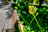 Spring, Lisbon © 2023 Keith Trumbo