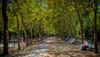 Dimanche, Jardin du Luxembourg, Paris © 2024 Keith Trumbo