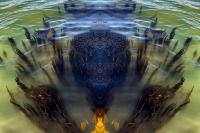 Alga, Venice © 2025 Keith Trumbo