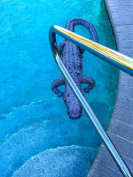 Pool welcome, Florida © 2026 Keith Trumbo