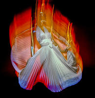 Hollywood costume: Glamour, glitter, romance, The Met, NYC © 1976 Keith Trumbo