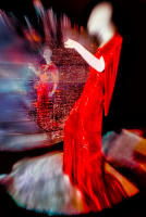 Hollywood costume: Glamour, glitter, romance, The Met, NYC © 1976 Keith Trumbo