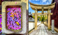 Hachiman Shrine, Honmura, Naoshima © 2024 Keith Trumbo