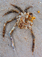 A life lived, Bridgehampton © 2026 Keith Trumbo