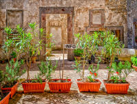 Info, Erice © 2018 Keith Trumbo