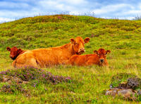"No tourists please", Isle of Skye © 2018 Keith Trumbo