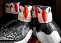 Puffins to go, Tobermory © 2018 Keith Trumbo
