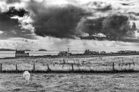 Isle of Iona © 2018 Keith Trumbo