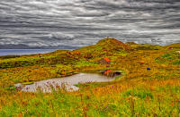 Cows paradise, Isle of Skye © 2018 Keith Trumbo