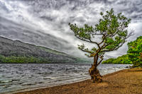 Tree, storm over Loch Lomond, Scotland © 2018 Keith Trumbo