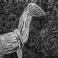 A horse with no name, Bridgehampton © 2026 Keith Trumbo