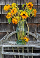 Fading with grace, Bridgehampton © 2013 Keith Trumbo