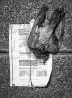 Death in passing, Paris © 2026 Keith Trumbo