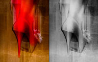 Horse Show, Bridgehampton © 2012 Keith Trumbo
