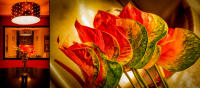 Anthurium, NYC © 2021 Keith Trumbo