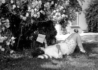 Heather Holden Brown, Publisher, Provence, France © 2019 Keith Trumbo